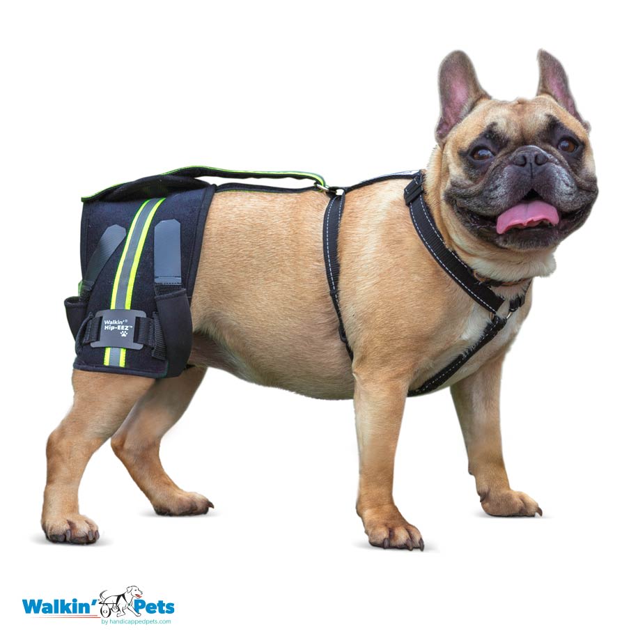 Hip-EEZ - Abrazadera de cadera canina Walkin Pets2