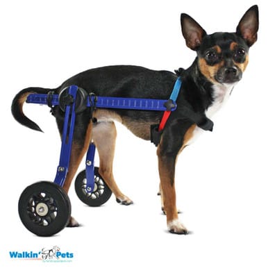 Silla de ruedas Mini, Walkin Pets1