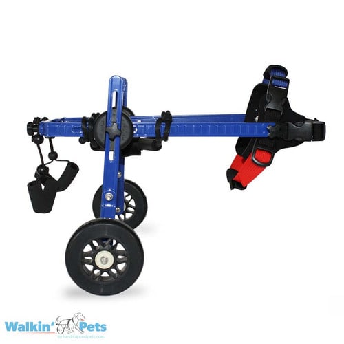 Silla de ruedas Mini, Walkin Pets4