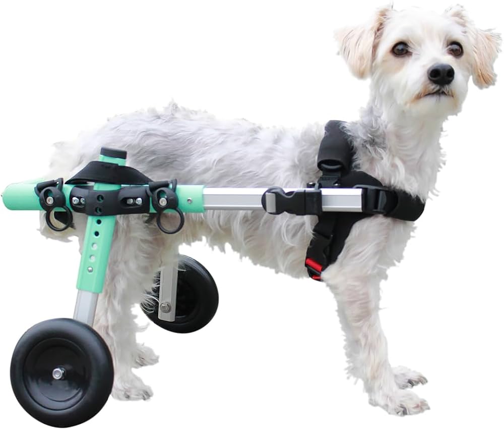 Silla de ruedas Mini, Walkin Pets6