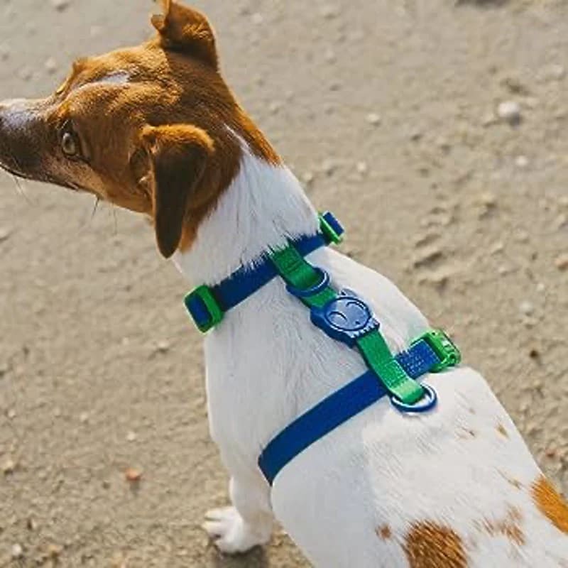Zeedog H Harness Neopro Apex3
