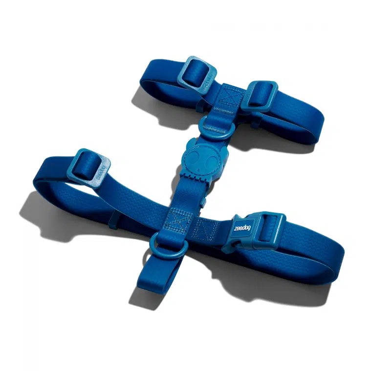 Zeedog H Harness Neopro Blue1
