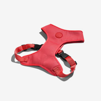 Zeedog AirMesh Harness Neon Coral3