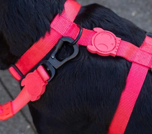 Zeedog H Harness Neon Coral3