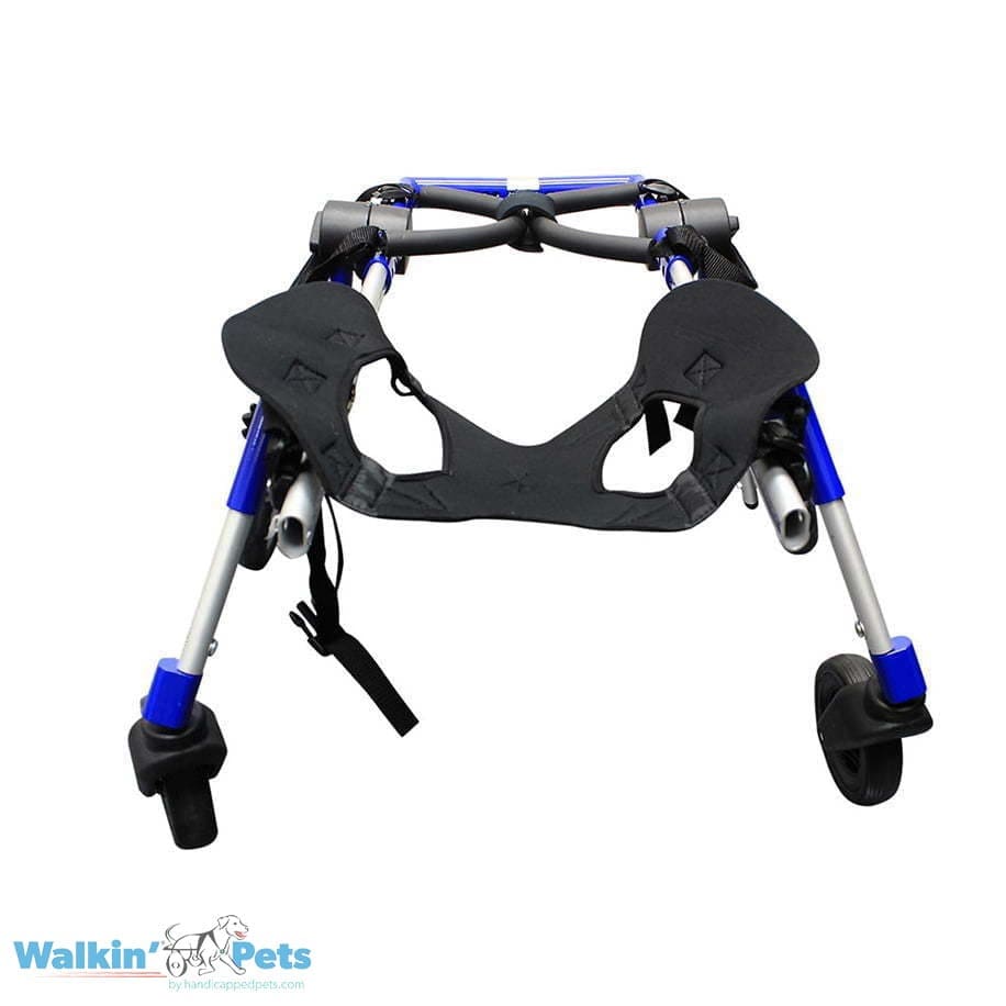 Arnes de neopreno delantero Walkin pets2
