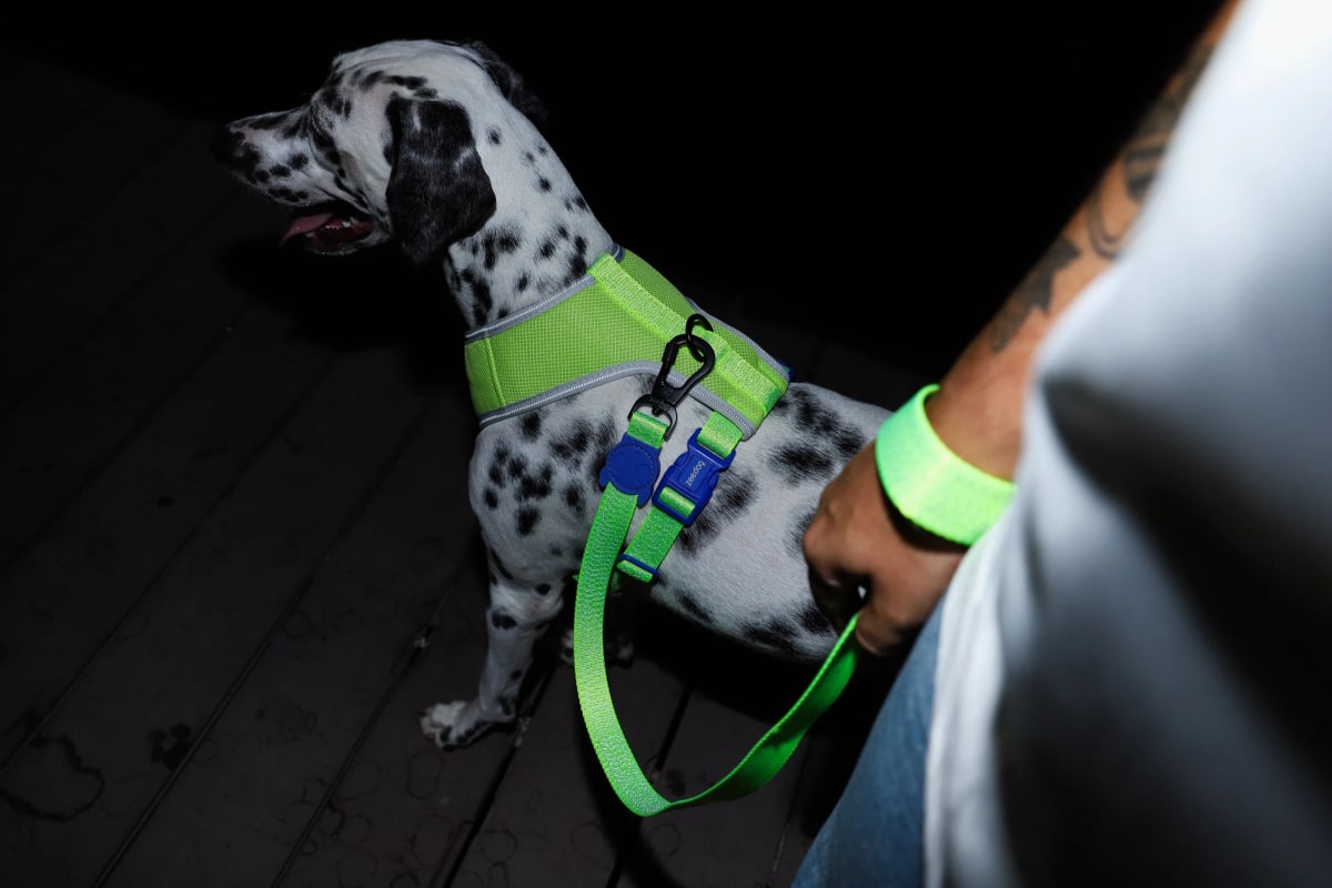 Zeedog AirMesh Harness Nox Lumen4