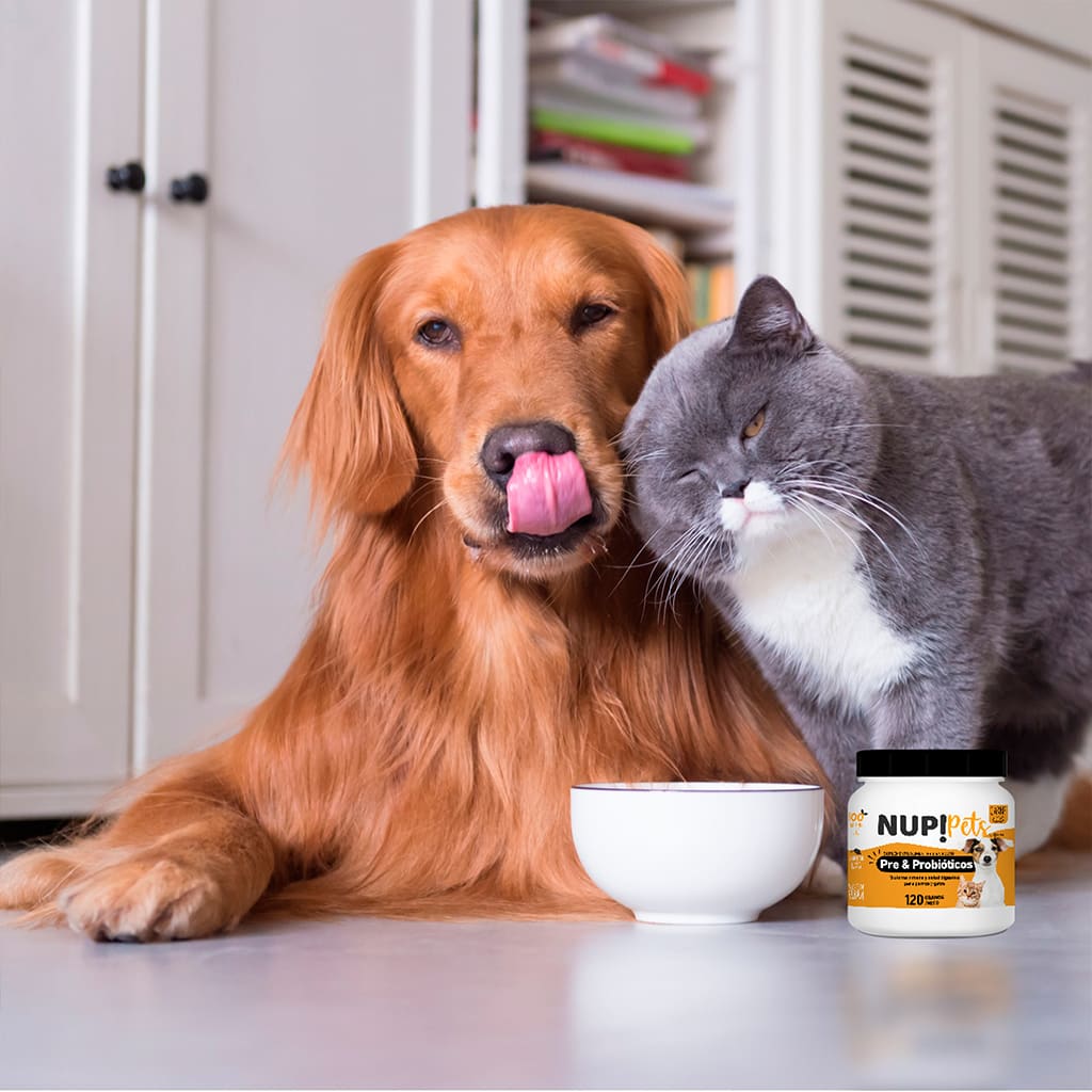 Nup! Pets Pre & Probióticos 120 Gr Carne3