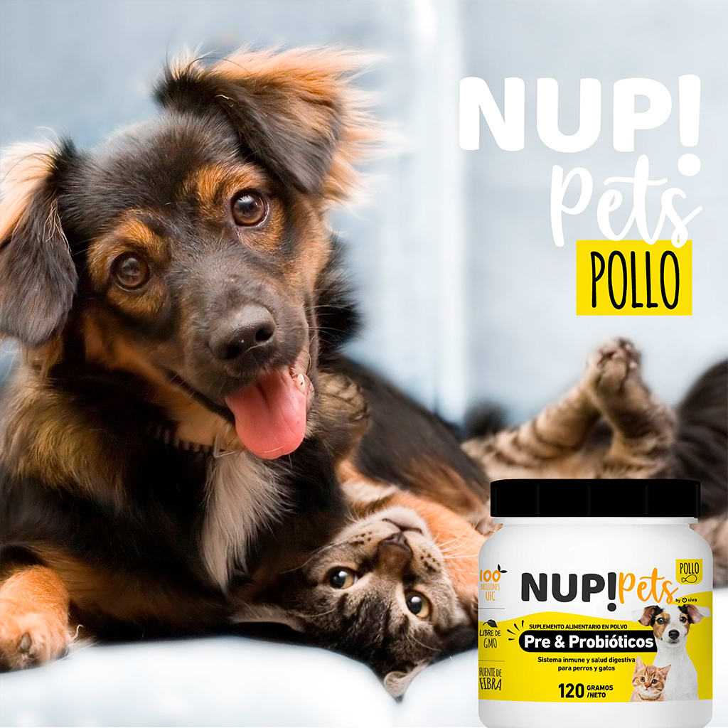 Nup! Pets Pre & Probióticos 120 Gr Pollo3