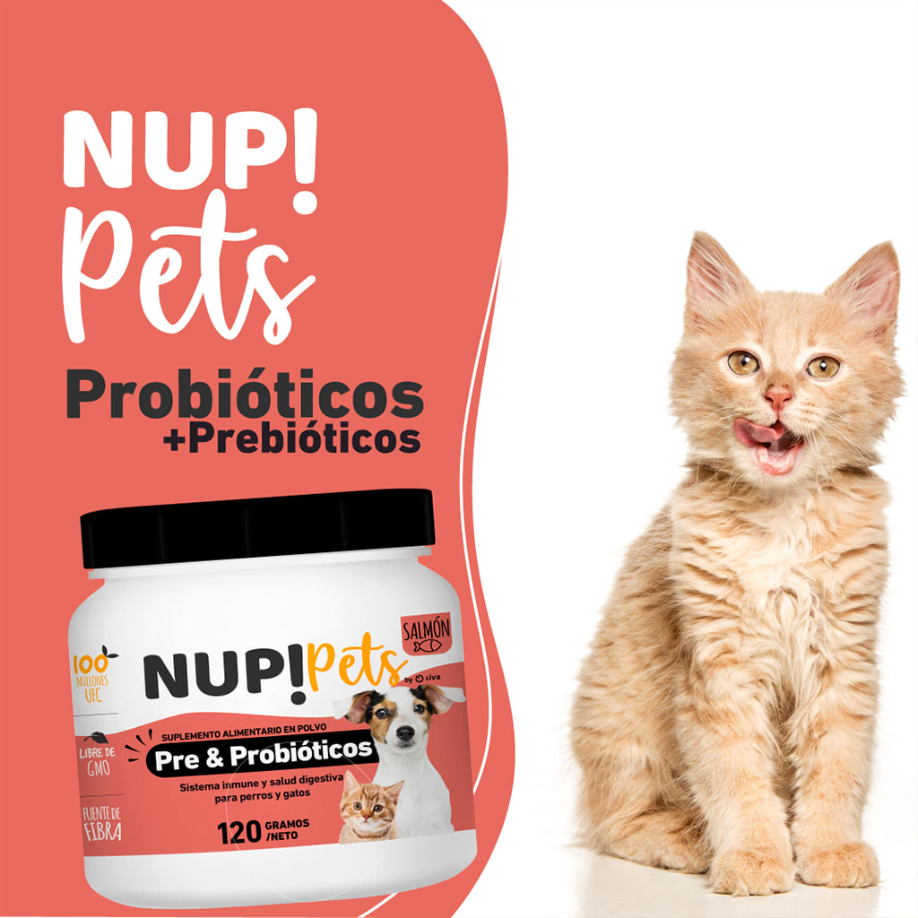 Nup! Pets Pre & Probióticos 120 Gr Salmon2