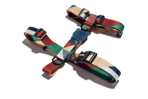Zeedog H Harness Pacco2