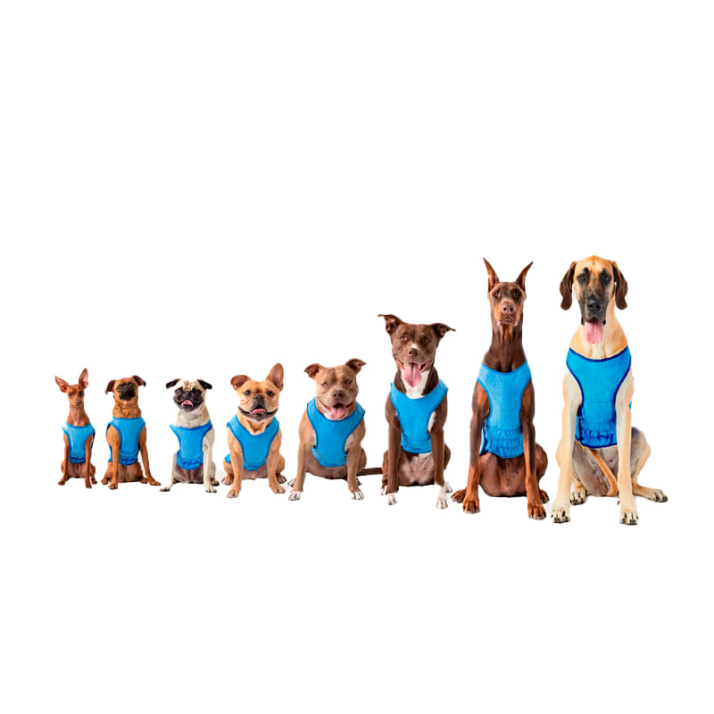 Ice vest - Chaleco refrigerante GF pet2