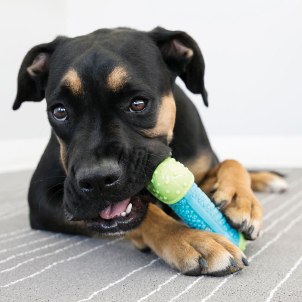 Kong Corestrength Bone3