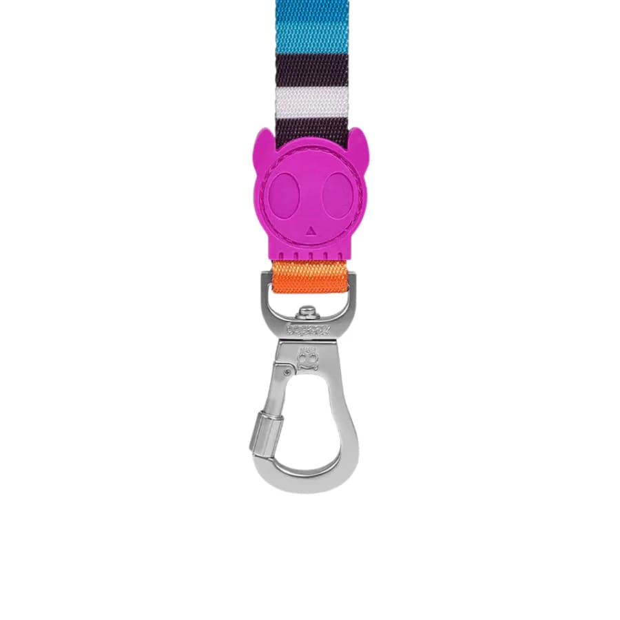 Zeedog Leash Prisma2