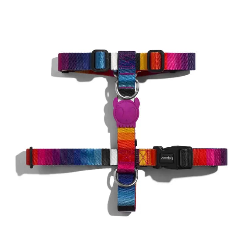 Zeedog H Harness Prisma1