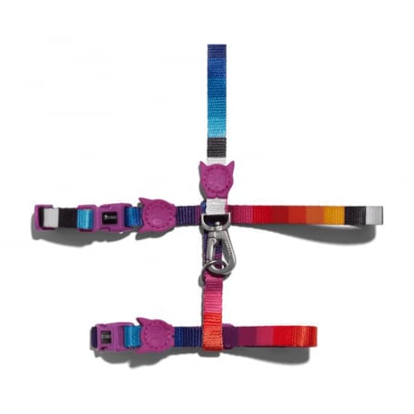 Zeecat Set Arnes H y Correa Prisma1