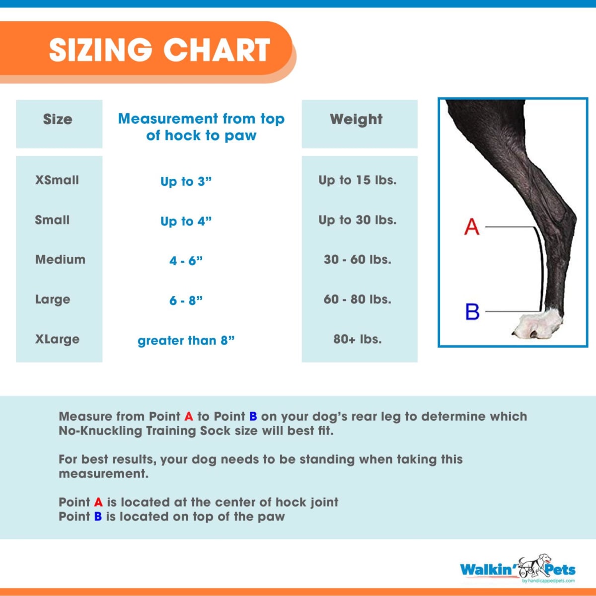 Corrector propioceptivo trasero - No Knuckle Training Sock5