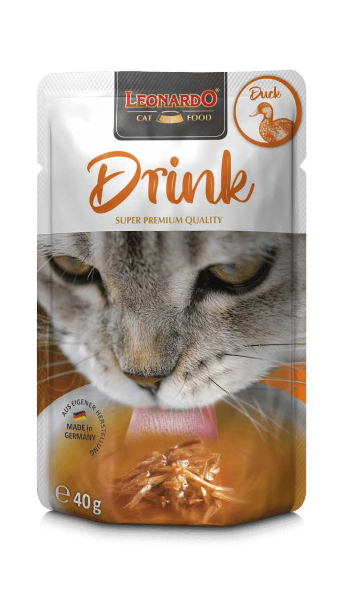 Leonardo Drink, Sopa Pato3