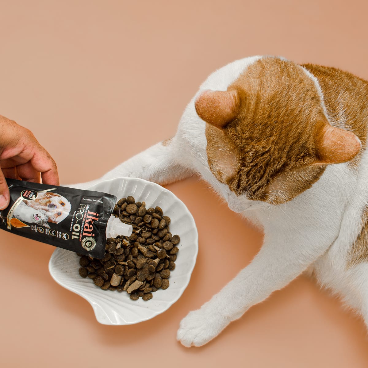 Aceite de Salmón Ikai 60 gr5