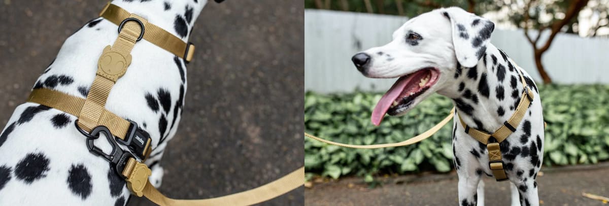Zeedog H Harness Sand3