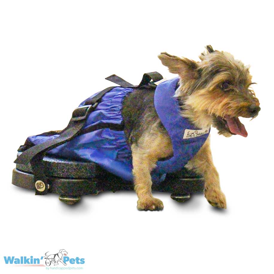 Scooter Con bolsa de arrastre Walkin Pets5