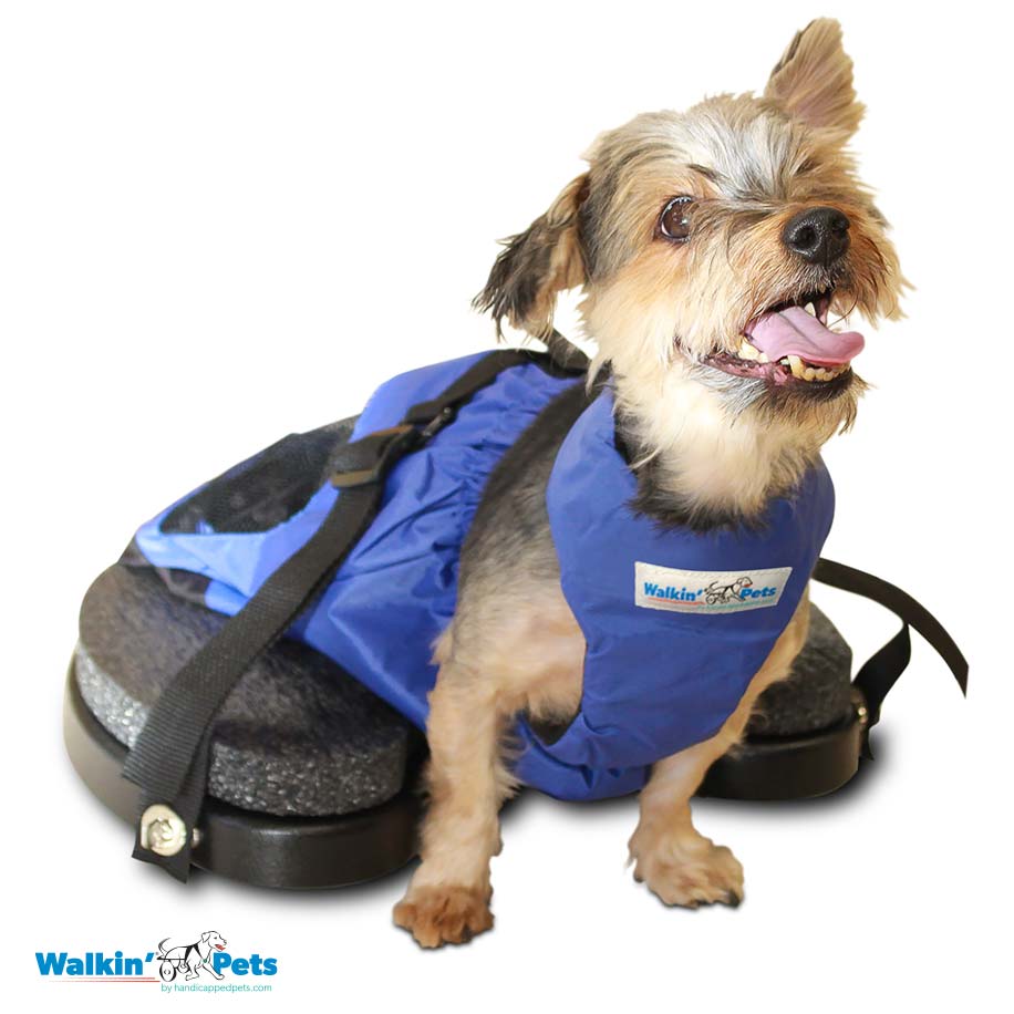 Scooter Con bolsa de arrastre Walkin Pets4
