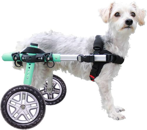 Silla de ruedas Small, Walkin Pets1