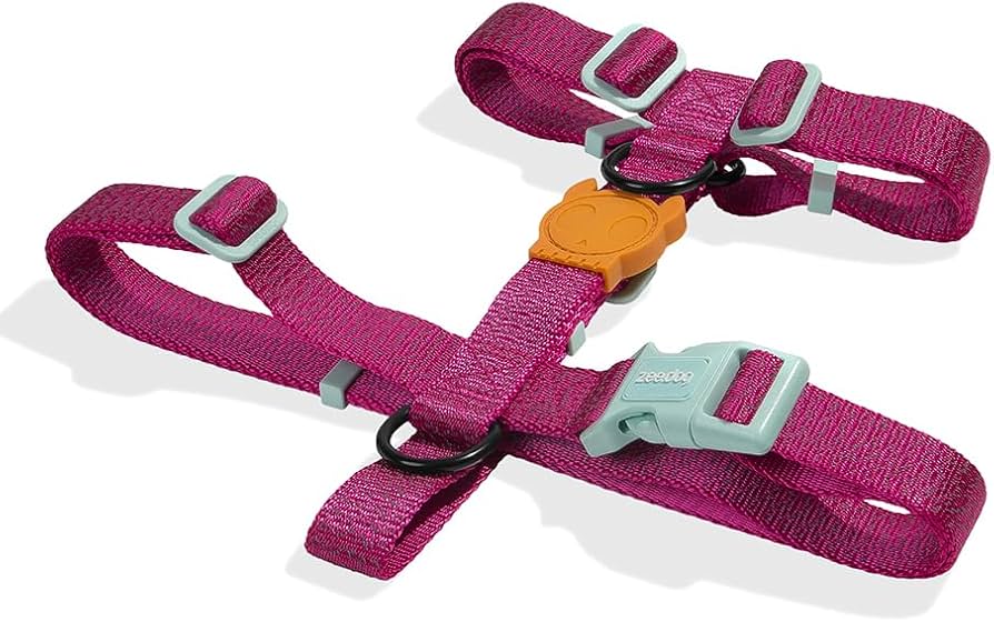 Zeedog H Harness Nox Sidus2