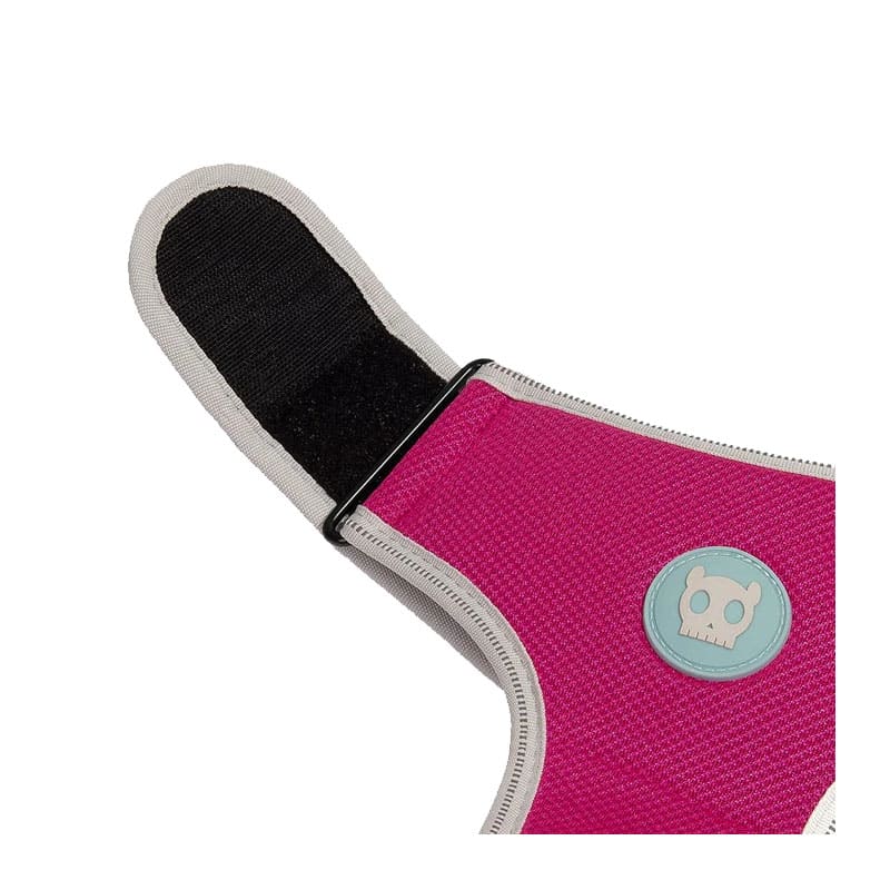 Zeedog AirMesh Harness Nox Sidus2