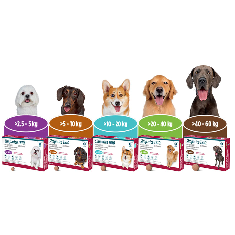 Simparica Trío 3 comprimidos1