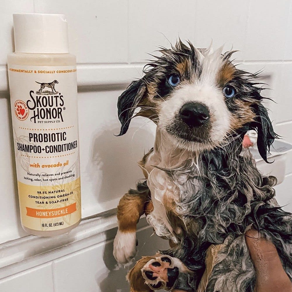SKOUT´S HONOR Probiotic Shampoo + Conditioner para perros y gatos - Aroma Madre selva2