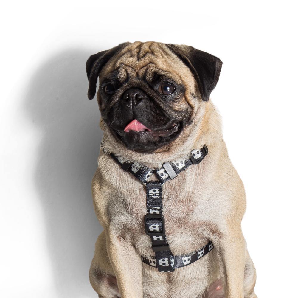 Zeedog H Harness Skull1