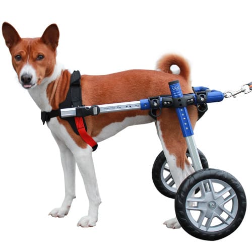 Silla de ruedas Small, Walkin Pets2