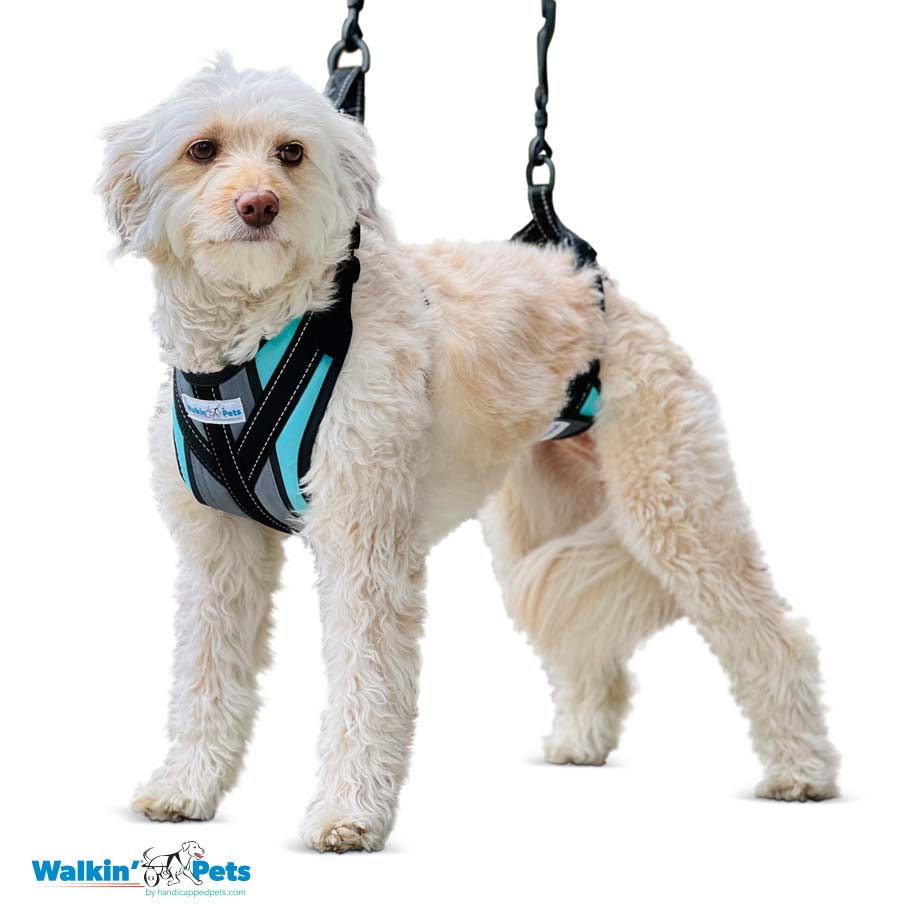 Arnes de soporte Lift-n-Step Walkin pets4