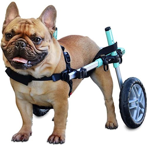 Silla de ruedas Small, Walkin Pets3