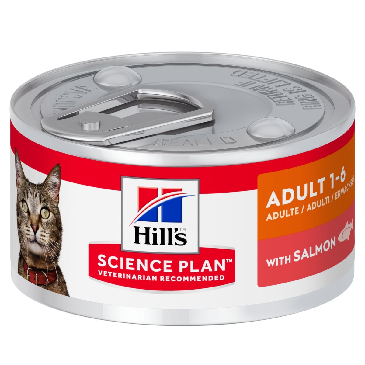 Hill's Science Diet Lata Adult Savory Salmon Entrée2