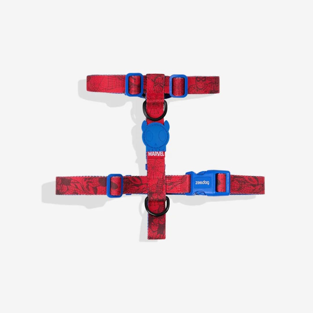 Zeedog H Harness Spiderman2