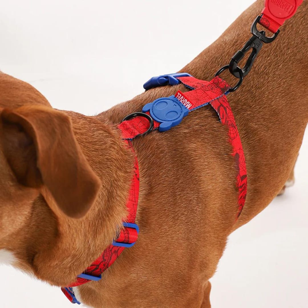 Zeedog H Harness Spiderman3