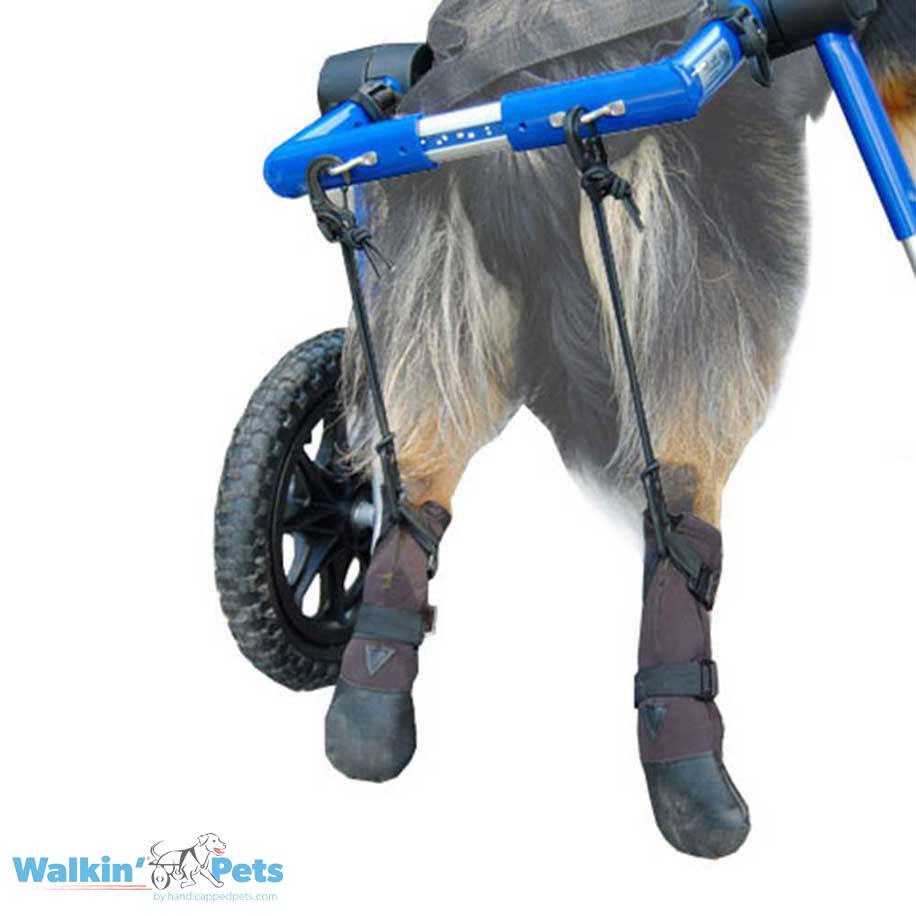 Kit de Botas y Estribos Walkin Pets2