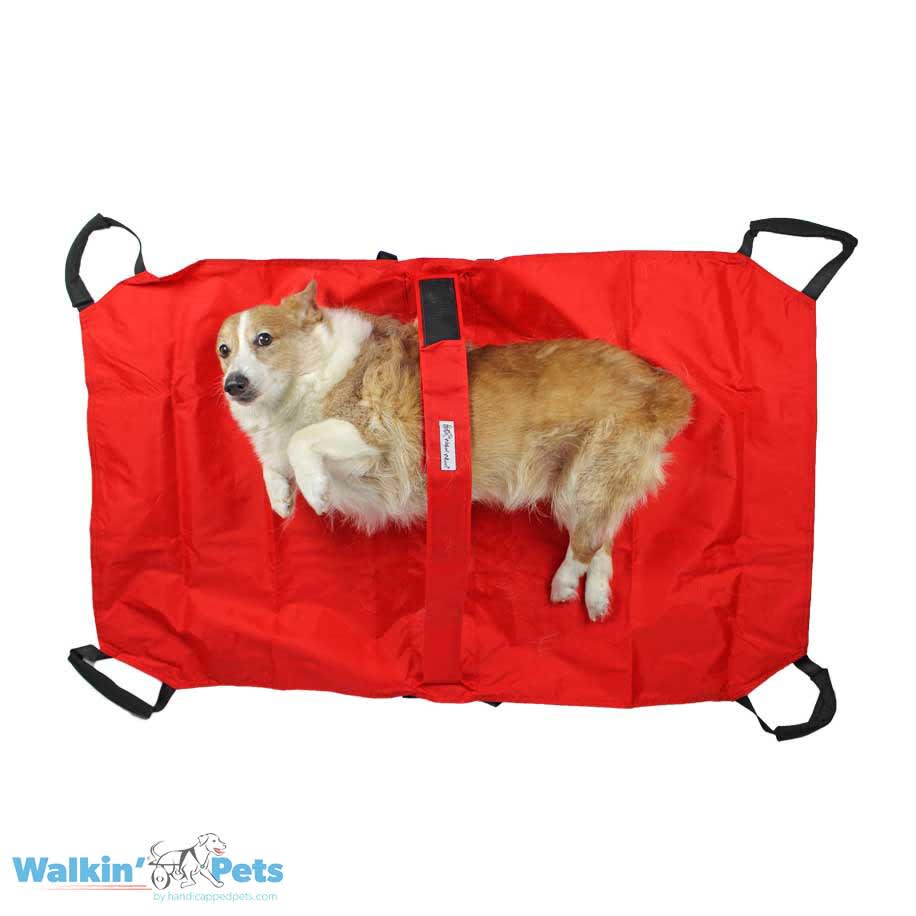 Camilla transportadora Walkin Pets4