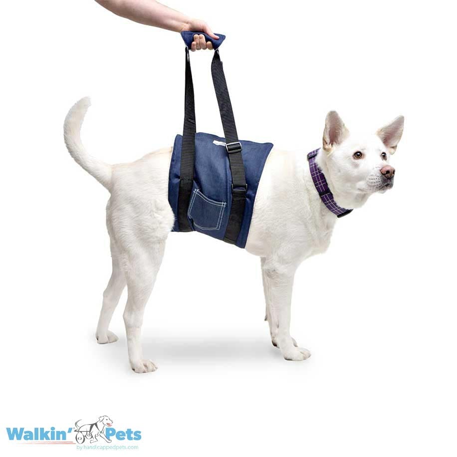 Cabestrillo de apoyo Walkin Pets4