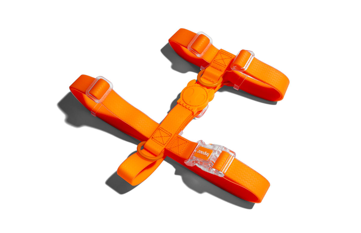 Zeedog H Harness Tangerine2