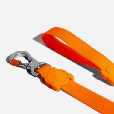 Zeedog Leash Tangerine3