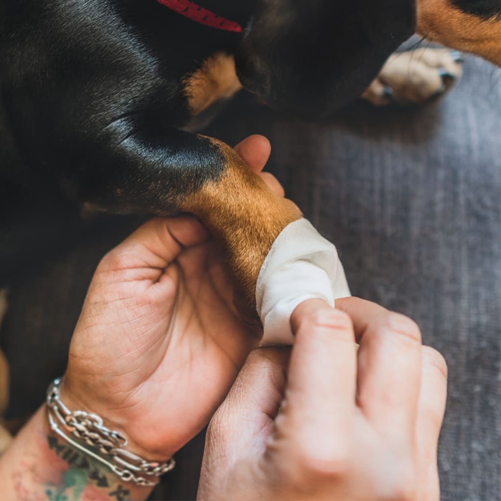 Hypoallergenic Wipes 40P2