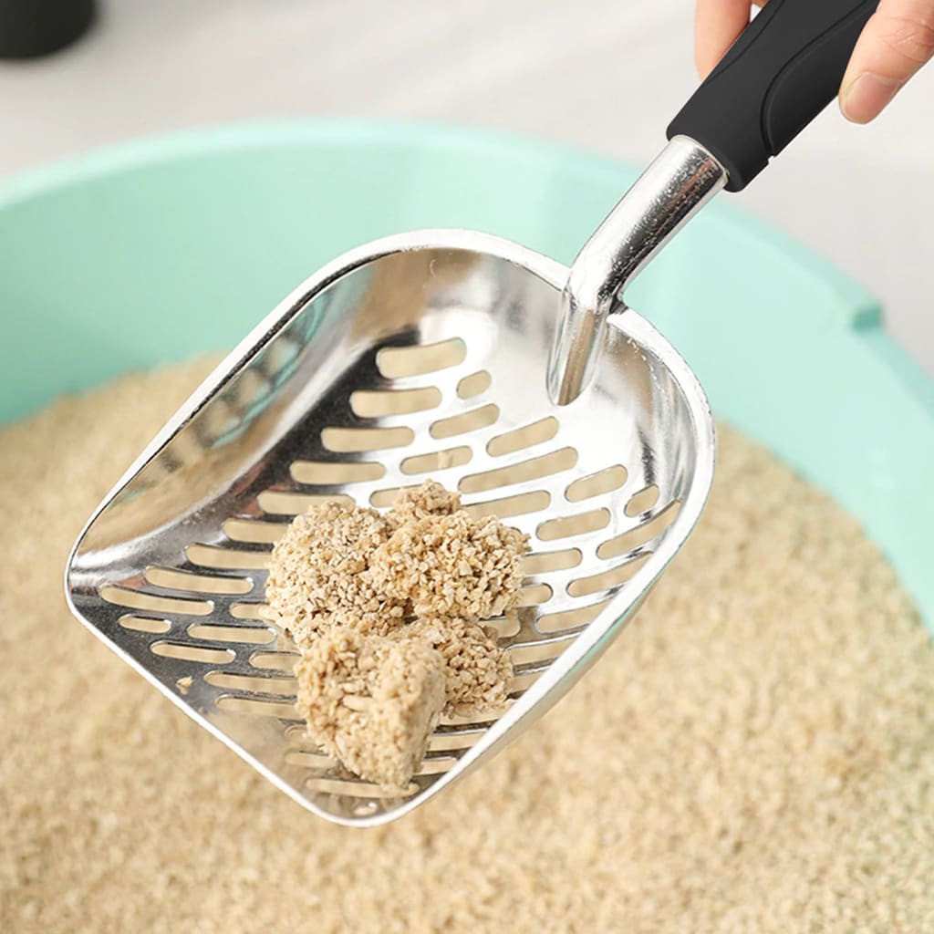 The Poop scoop2