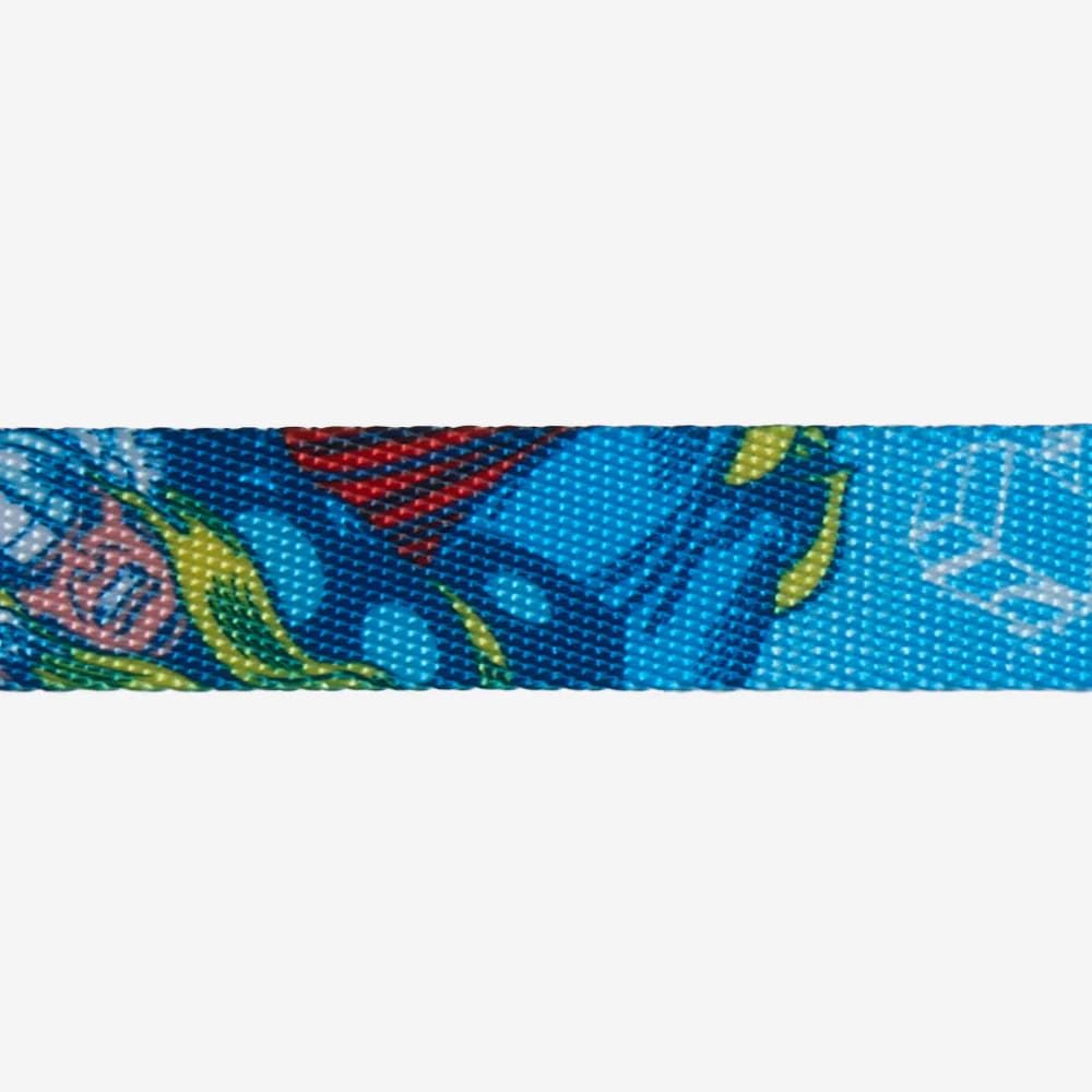 Zeedog Collar Thor3