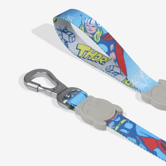 Zeedog Leash Thor3