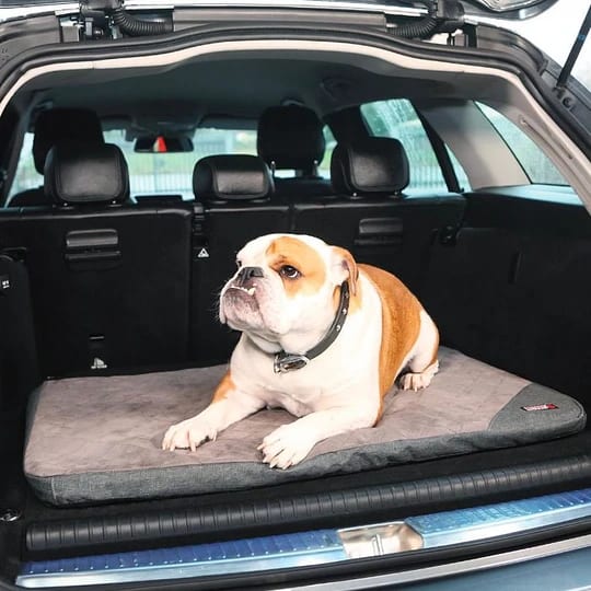 Kong Fold-Up Travel Mat2