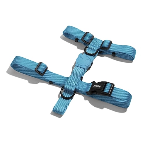 Zeedog H Harness Ultimate Blue1
