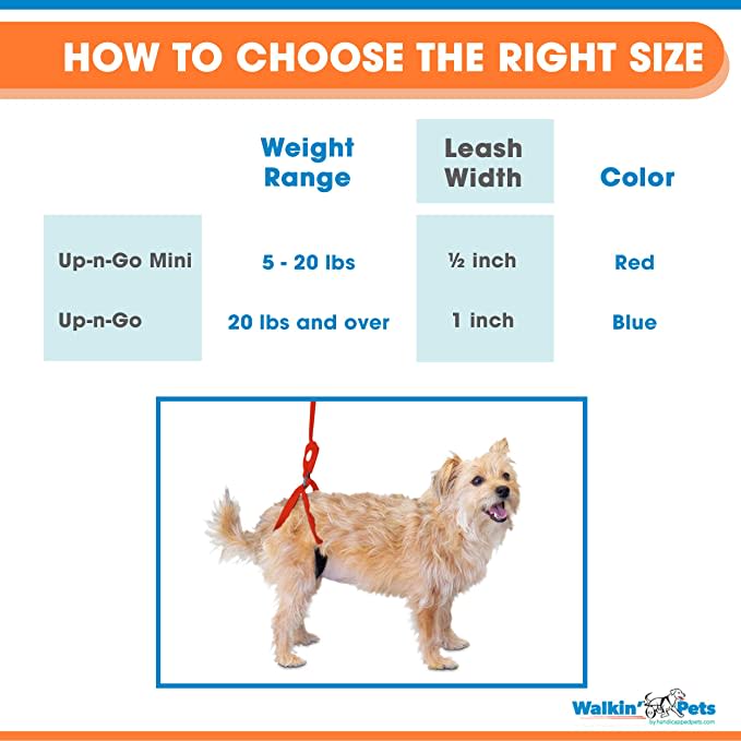 Walkin' Up-n-Go, Correa de soporte trasera3