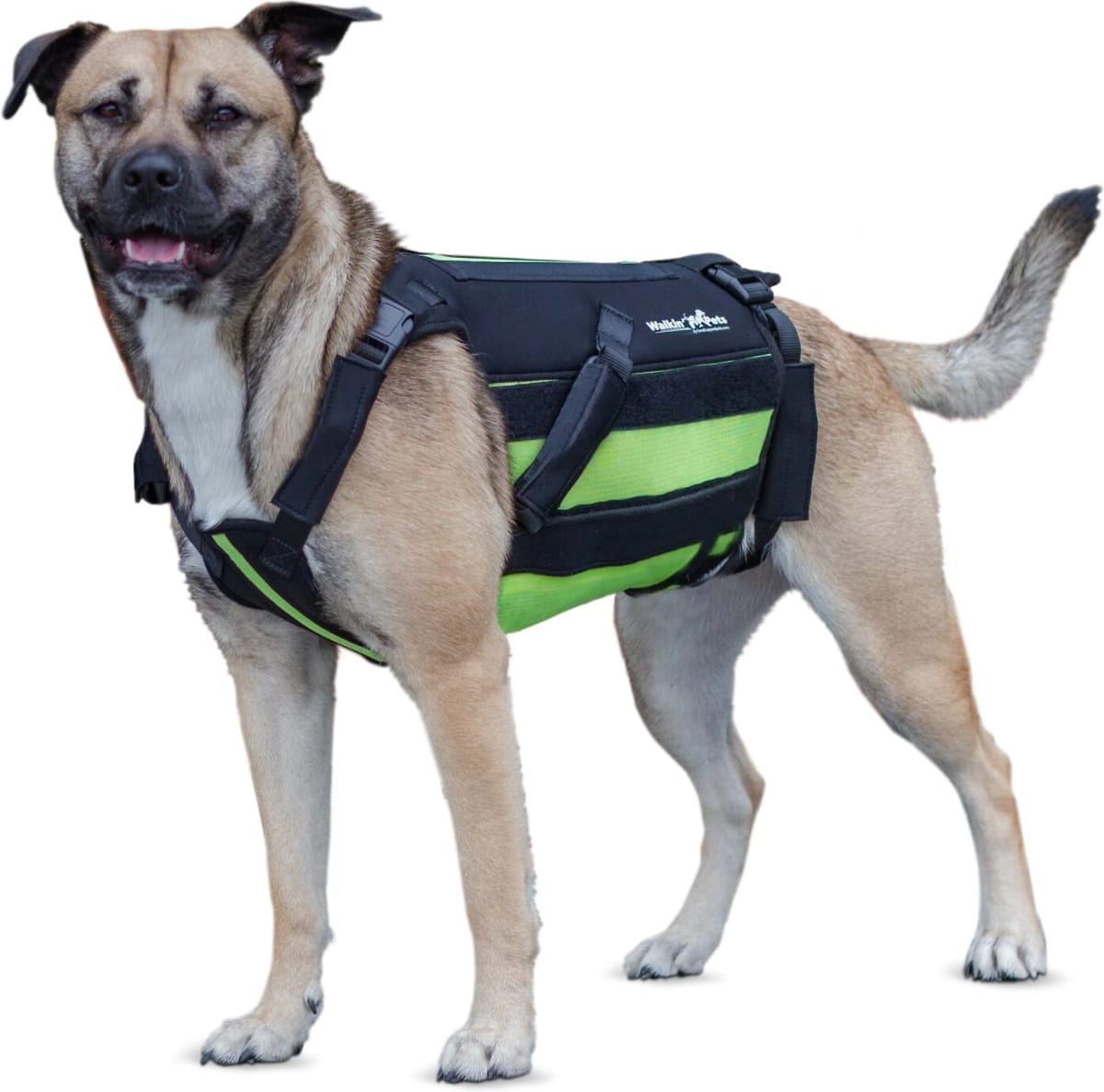 VertabraVe Back Brace - Soporte de espalda Walkin Pets3